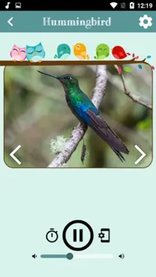 Bird Sounds android App screenshot 3