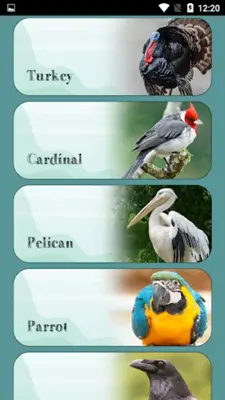 Bird Sounds android App screenshot 4