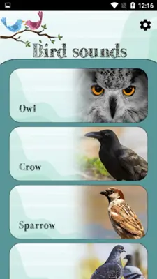 Bird Sounds android App screenshot 6