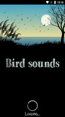 Bird Sounds android App screenshot 7